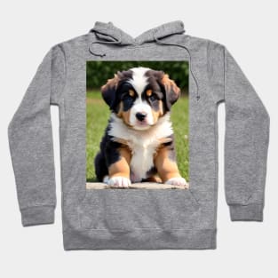 Burnese Mountain Puppy 02 Hoodie